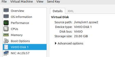 Virtual Disk Manager Disk Information