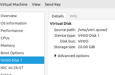 Virtual Disk Manager Disk Information